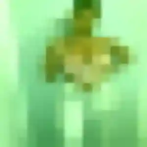 Wendy, 37 ans, cherche un plan cul à Étiolles