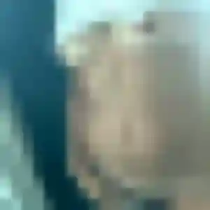Profil de Joana à Favars (22 ans) - plan cul anonyme