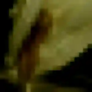 Photo de Constance à Favières (28 ans) - plan cul anonyme
