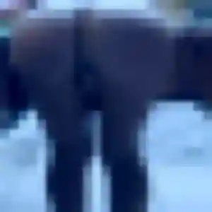 Photo de Emmanuelle à Fayence (24 ans) - plan cul gratuit