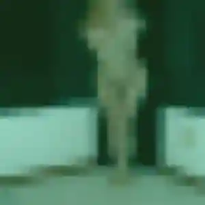 Audrey, 26 ans, disponible à Ferney-Voltaire pour une rencontre coquine