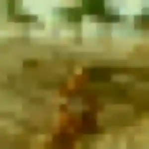 Marion, 39 ans, en ligne à Feuguerolles-Bully pour un plan cul