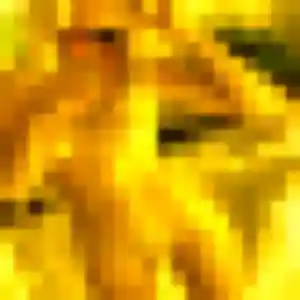 Elise, femme de 35 ans cherche plan cul à Firminy