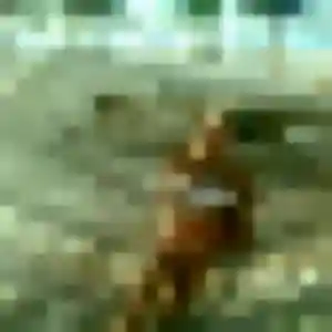 Découvre Catherine, 33 ans à Flaviac en privé