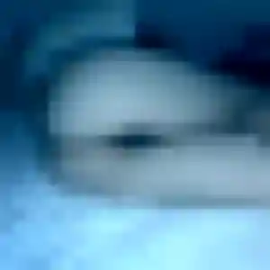 Photo perso de Daniela, 42 ans à Fleurbaix - rencontre coquine