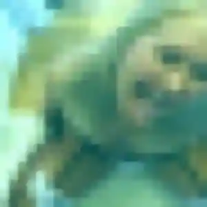 Rose-Marie, fille de 30 ans veut plan cul à Fleurey-sur-Ouche