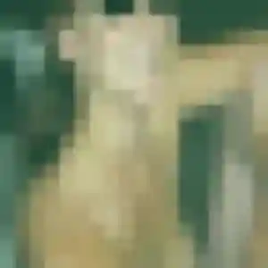 Photo privée de Yasmina, 45 ans à Foix - rencontre coquine