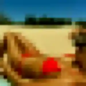 Christelle (41 ans) à Fonsorbes propose une rencontre ce soir