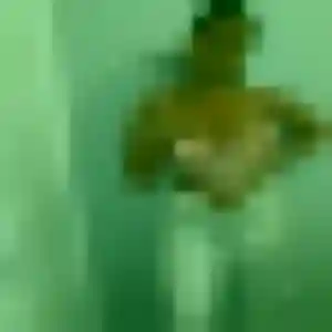 Photo de Claire à Fontaine-la-Mallet (36 ans) - plan cul gratuit