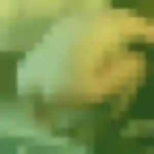 Manon de Fontenay-le-Vicomte, 25 ans - plan cul discret