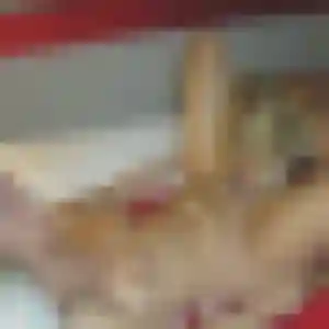 plan cul à Fosses : profil de Gladys, 43 ans - sans engagement