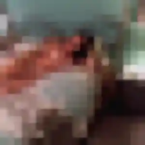 Rejoins Pauline, 42 ans à Fouchy gratuitement