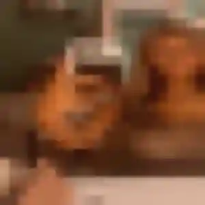 Anne-Laure (41 ans) à Fraize cherche une rencontre maintenant