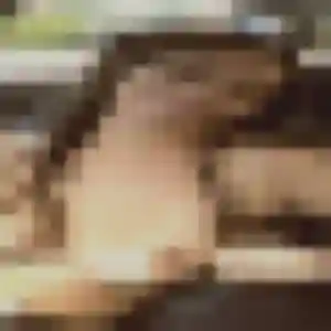 Jolie Jihane, 29 ans à Frépillon - la contacter
