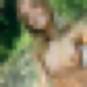 Flavia, femme de 38 ans propose plan cul à Fretin