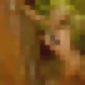 Photo sexy de Justine, 27 ans à Froges - rencontre coquine