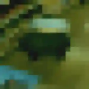 Apolline (24 ans) à Gajan attend un plan cul rapidement