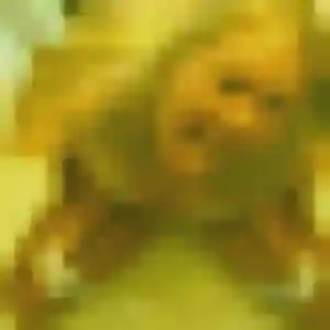 Brunehilde, fille de 22 ans cherche plan cul à Geloux