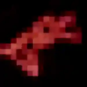 Profil de Wahiba à Gemeaux (37 ans) - plan cul discret