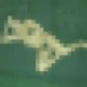 Faustine, 26 ans, en ligne à Genlis pour un plan cul