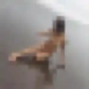 Découvre Daphne, 28 ans à Gennes en privé