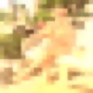 Photo de Clotilde à Gignac-la-Nerthe (25 ans) - plan cul gratuit