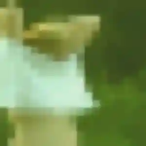 plan cul à Gorges : profil de Svetlana, 32 ans - accès libre