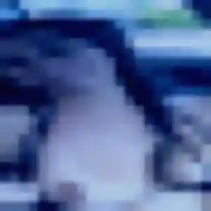 Photo sexy de Bertille, 28 ans à Gourlizon - rencontre coquine