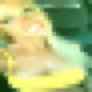 Photo exclusive de Whitney, 27 ans à Graimbouville - rencontre coquine