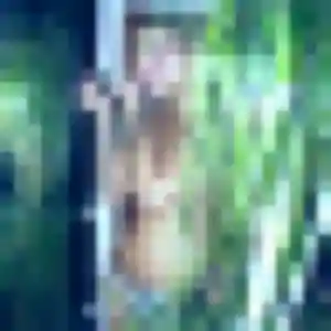 Photo de Albertine à Grane (23 ans) - plan cul anonyme