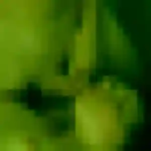 Photo de Amandine à Grèges (30 ans) - plan cul anonyme
