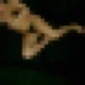 Photo privée de Rebecca, 37 ans à Grenay - rencontre coquine