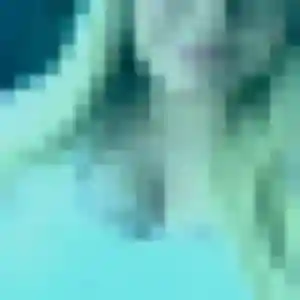 Augustine, 45 ans, connectée à Grez-sur-Loing pour une rencontre coquine