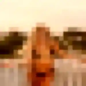 Photo privée de Ines, 38 ans à Gueberschwihr - rencontre coquine