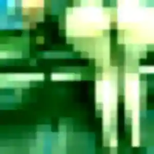 Imane, 25 ans, en ligne à Guemps pour une rencontre coquine