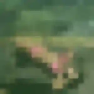 Daniela (45 ans) à Habarcq cherche un plan cul aujourd'hui