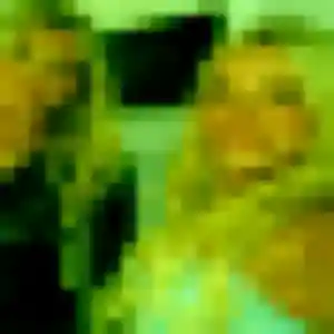 Anne-Charlotte de Haguenau, 41 ans - plan cul sans lendemain