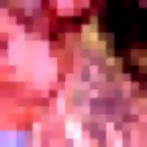 Photo privée de Vanessa, 33 ans à Hallines - plan discret