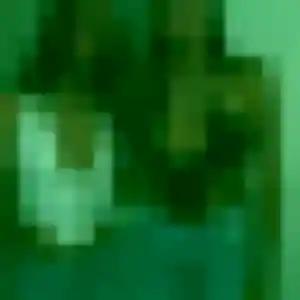 Flavie, 33 ans, cherche un plan cul à Halluin