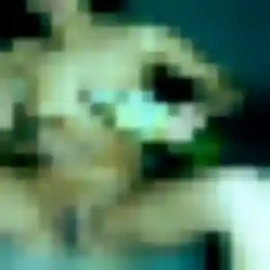 Raphaelle, 36 ans, en ligne à Halsou pour une rencontre coquine