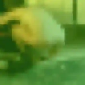Belle Sonia, 39 ans à Haraucourt - la contacter