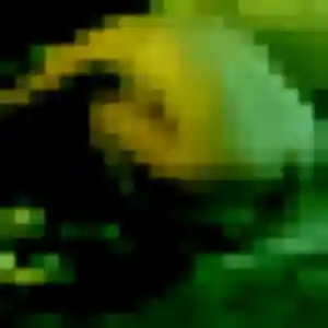 Photo privée de Gisele, 23 ans à Harfleur - plan discret