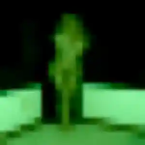 Photo de Anais à Harly (41 ans) - plan cul gratuit
