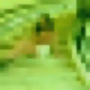 Jolie Thais, 34 ans à Hauts de Bienne - la contacter