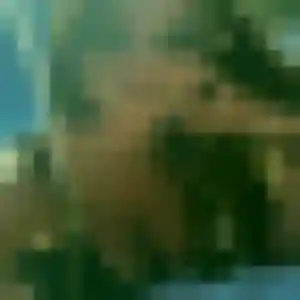 Eliane de Haveluy, 43 ans - plan cul sans prise de tête