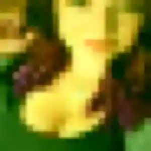 Oceane (25 ans) à Heiligenstein cherche un plan cul aujourd'hui