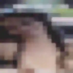 Photo exclusive de Alessandra, 34 ans à Heimsbrunn - rencontre coquine