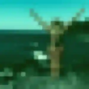 Solene (37 ans) à Hendaye attend un plan cul rapidement