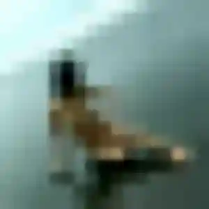 Belle Kim, 36 ans à Herbitzheim - la contacter