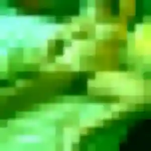 Contacte Rym, 30 ans à Herzeele en t'inscrivant